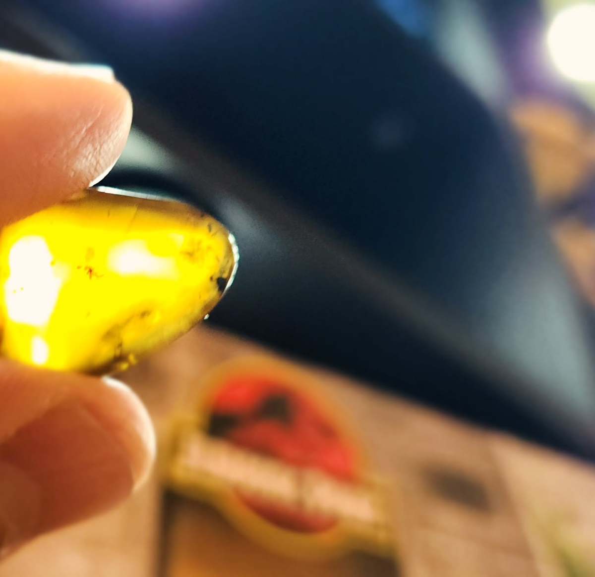 From the Archives: Mosquito in&nbsp;amber