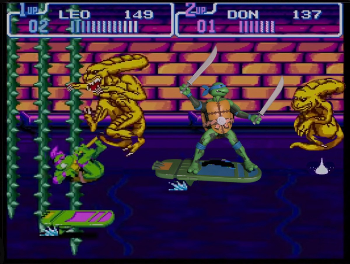 Leonardo (Turtles in&nbsp;Time)