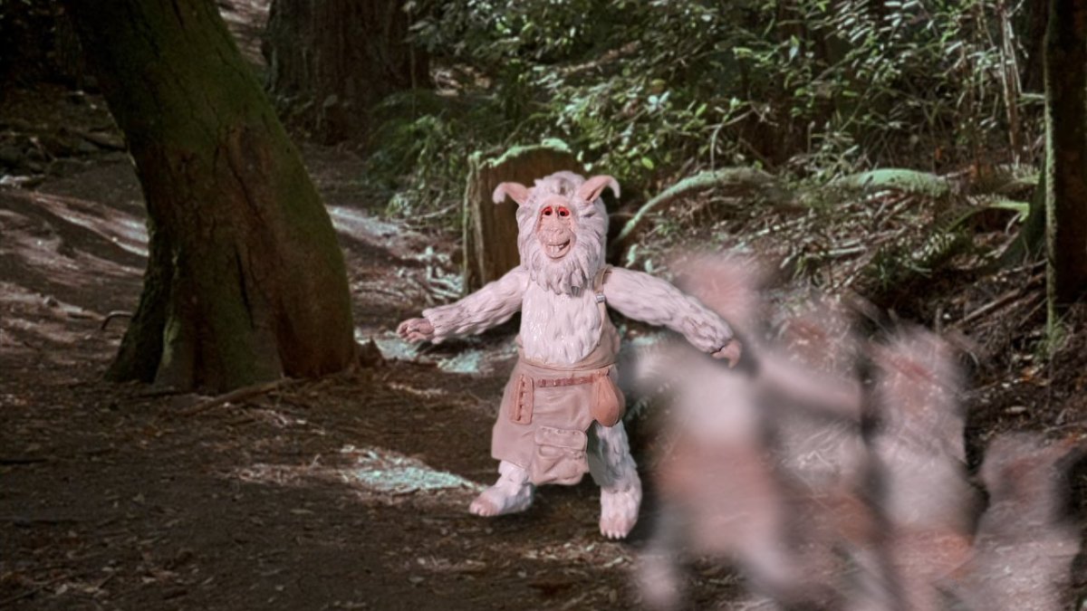 From the Archives:&nbsp;Teek